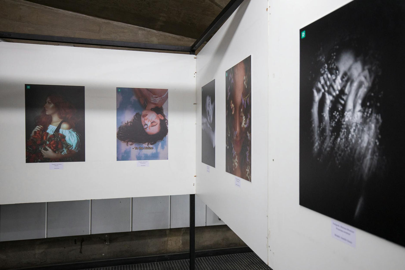 Interior view of a contemporary Berlin art gallery featuring emerging artists
