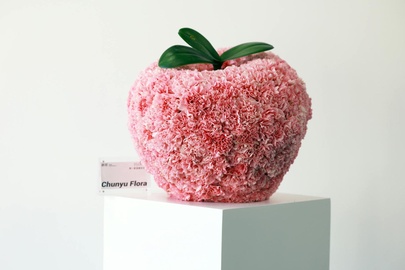 Contemporary art gallery showcasing emerging artists in Berlin