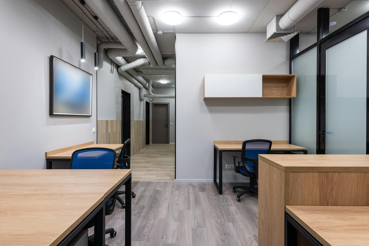 Modern office interior featuring curated contemporary art on walls